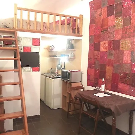 尼斯赛索勒可爱学生公寓 公寓 *